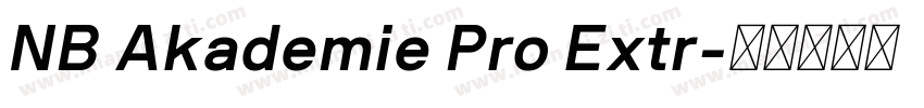 NB Akademie Pro Extr字体转换